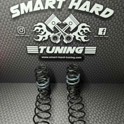 Eibach Springs Smart fortwo 451