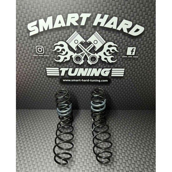 Eibach Springs Smart fortwo 451