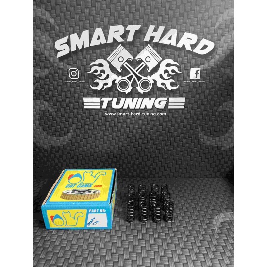 Cat Cams Valve Springs